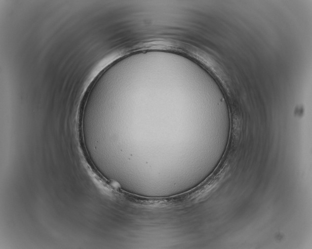 X0000096681426200802261505
