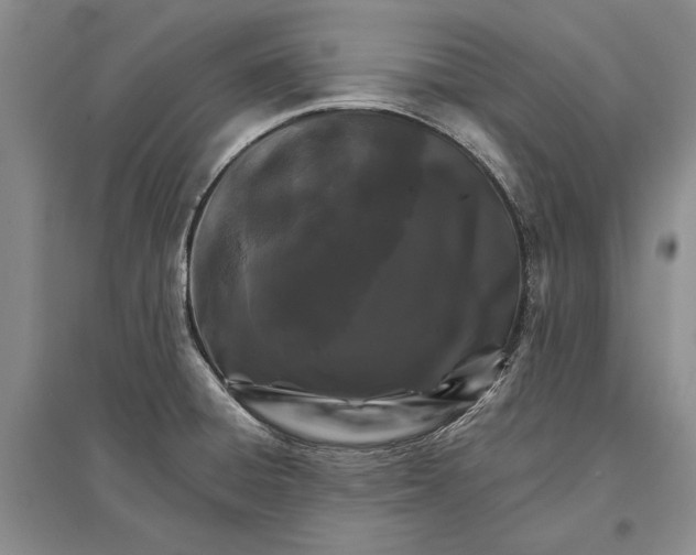 X0000096681428200802261505