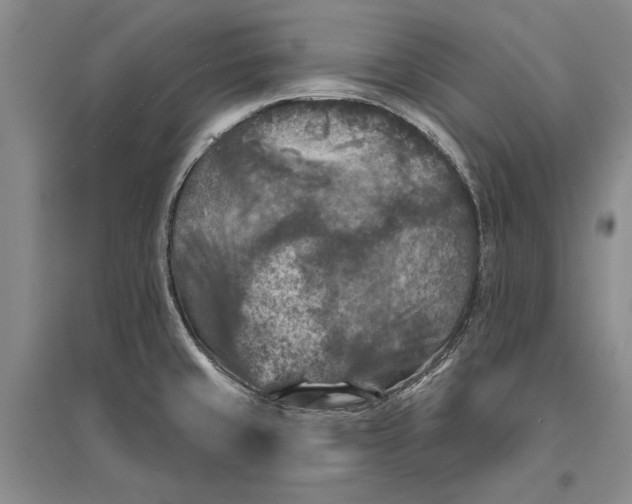 X0000096681429200802261505