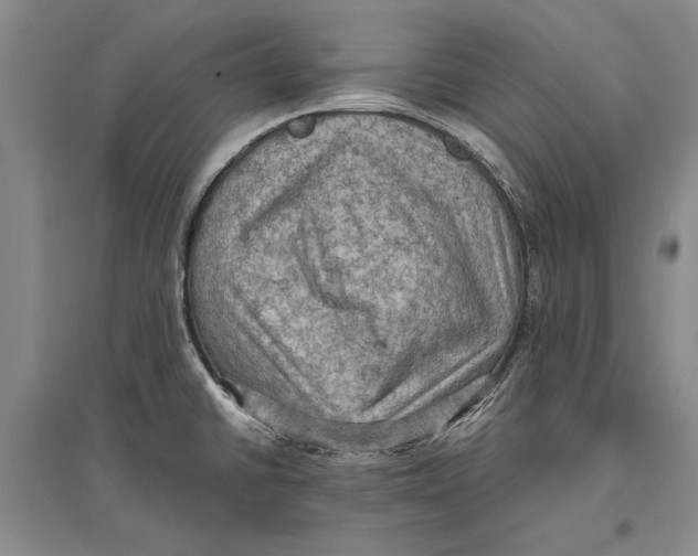 X0000096681430200802261505
