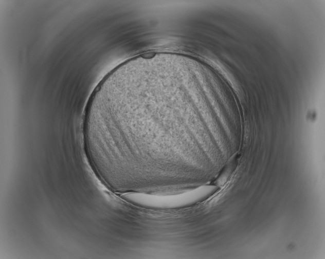 X0000096681434200802261506