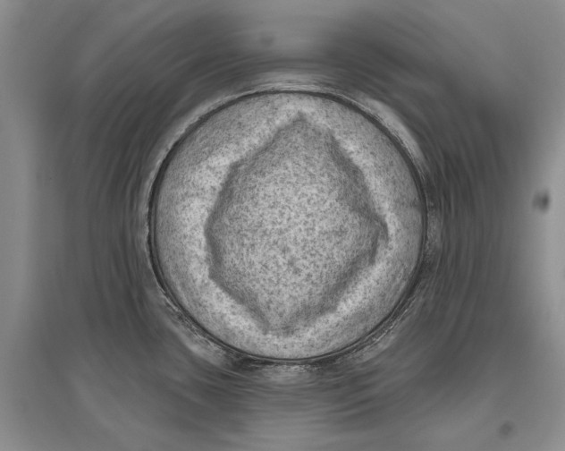 X0000096681435200802261506