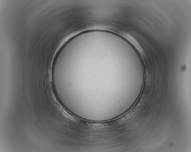 X0000096681436200802261506
