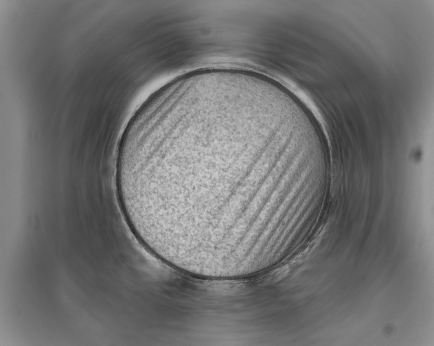 X0000096681437200802261506