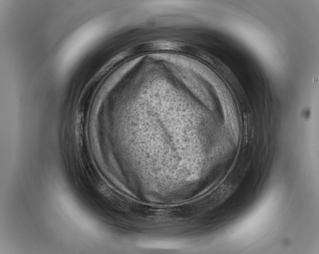 X0000096681438200802261506
