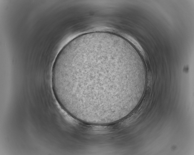 X0000096681439200802261506