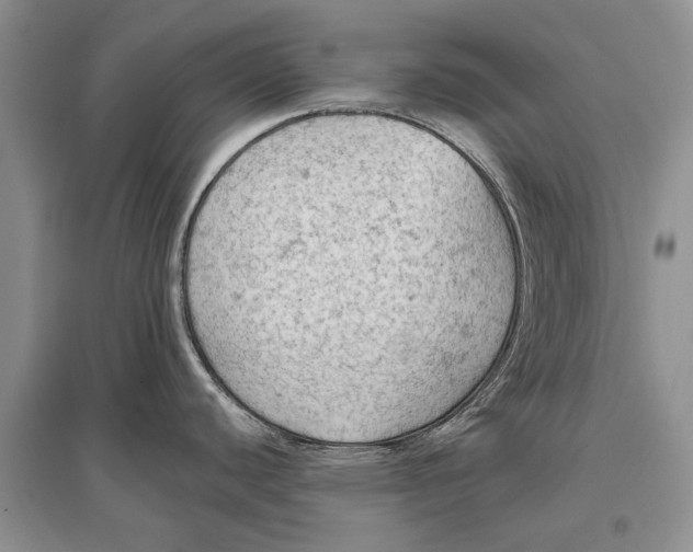 X0000096681440200802261506