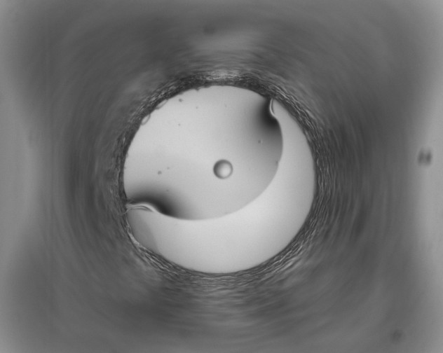 X0000096681441200802261505