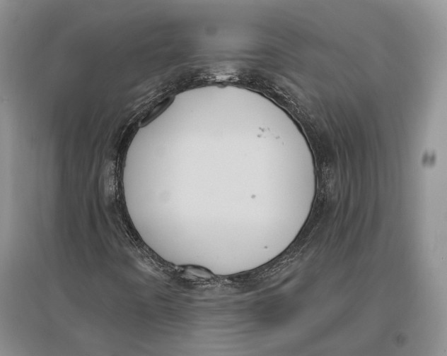 X0000096681442200802261505