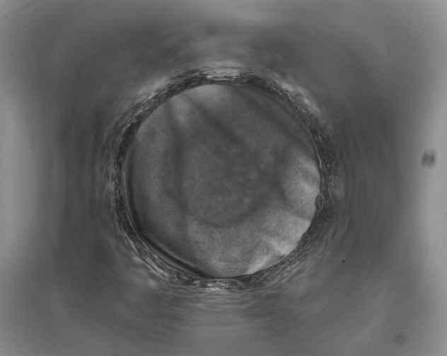 X0000096681445200802261505