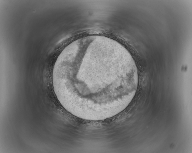 X0000096681446200802261505