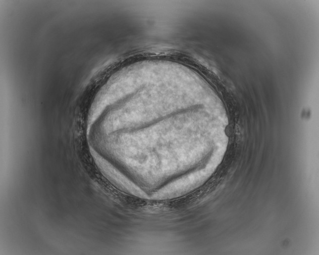 X0000096681447200802261505