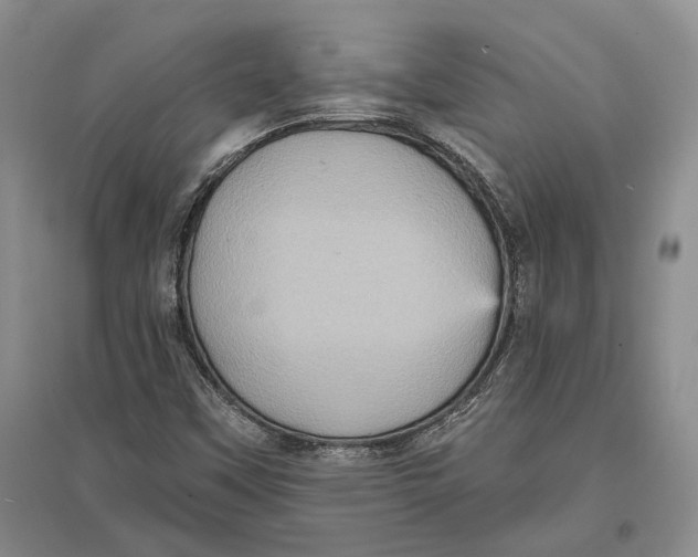X0000096681451200802261505