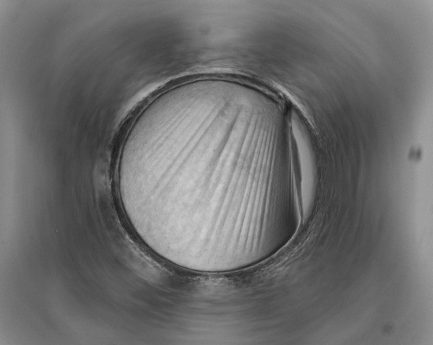 X0000096681452200802261505