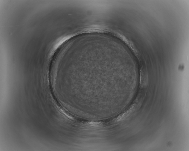 X0000096681453200802261505