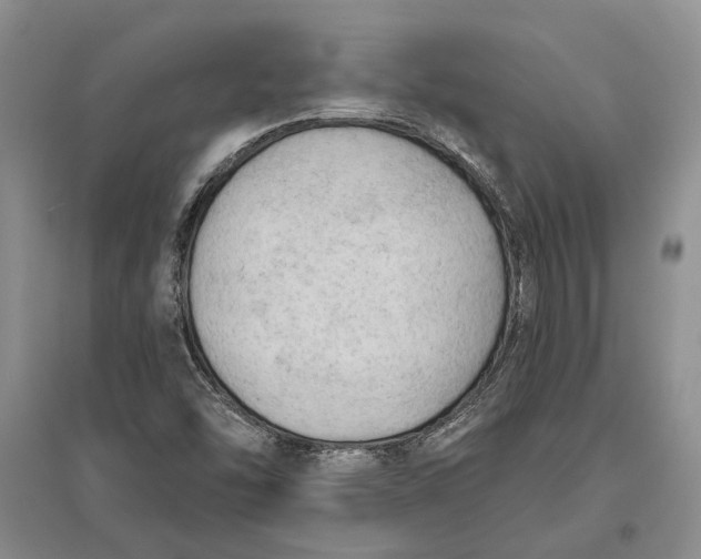 X0000096681454200802261505