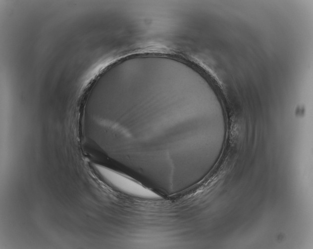 X0000096681455200802261505