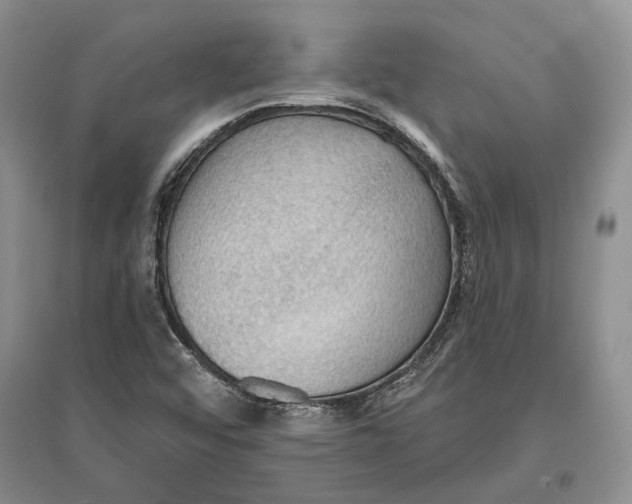 X0000096681456200802261504