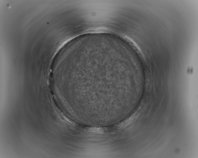 X0000096681457200802261504