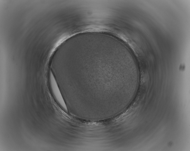X0000096681459200802261504