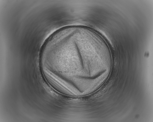 X0000096681460200802261504