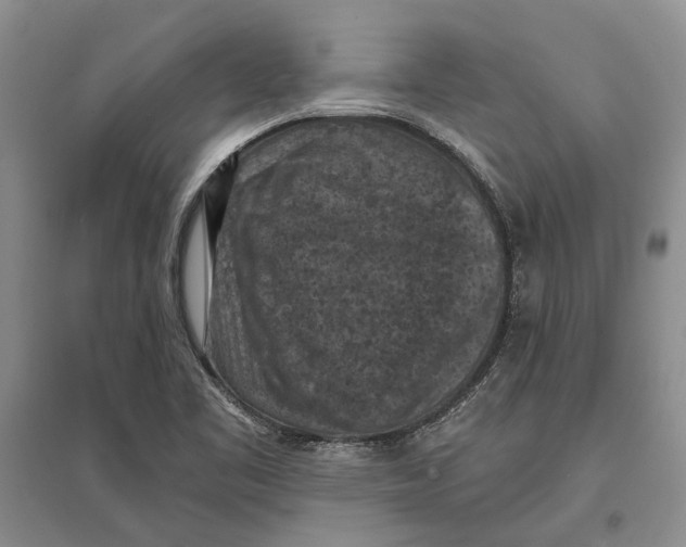 X0000096681461200802261504