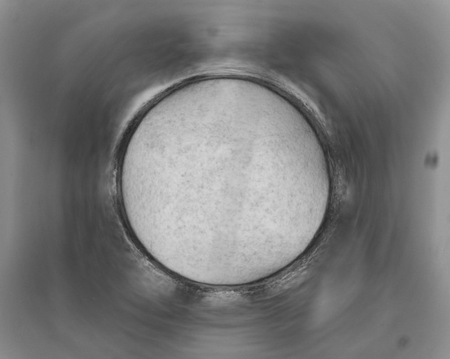 X0000096681462200802261504