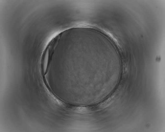 X0000096681463200802261504
