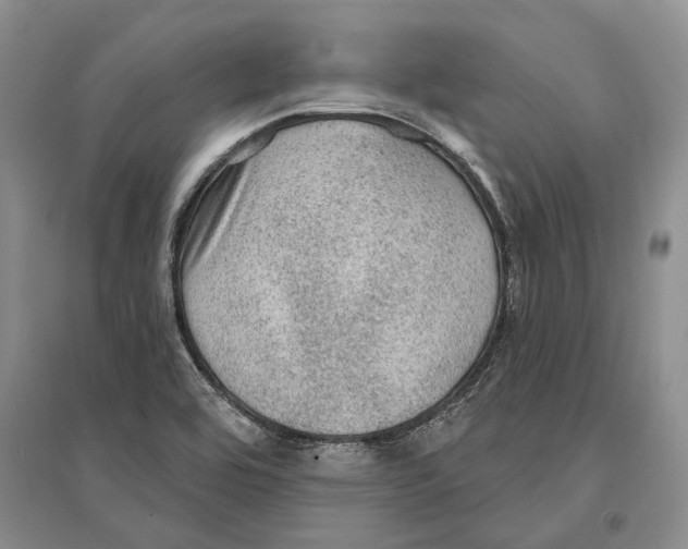 X0000096681464200802261504
