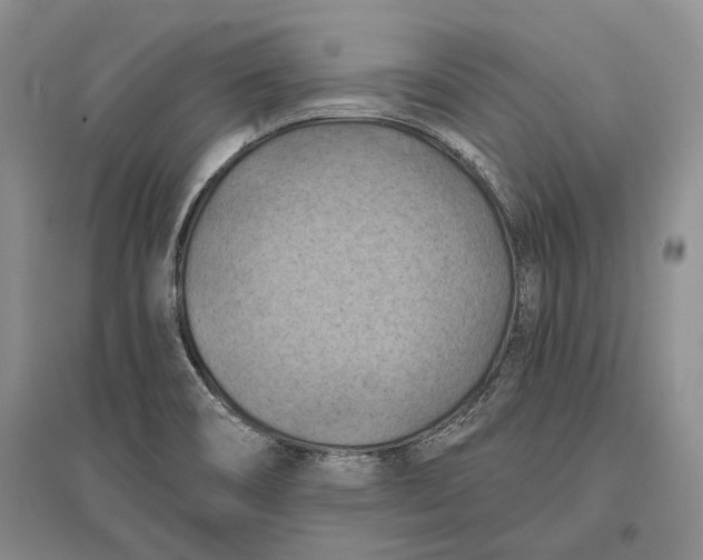 X0000096681466200802261504