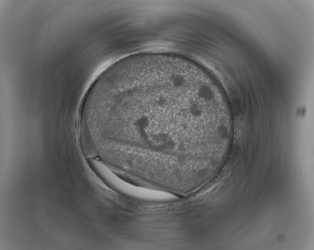 X0000096681467200802261504