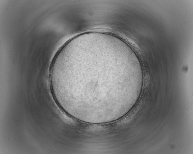 X0000096681470200802261504