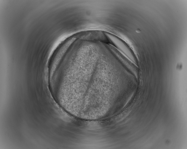 X0000096681472200802261504