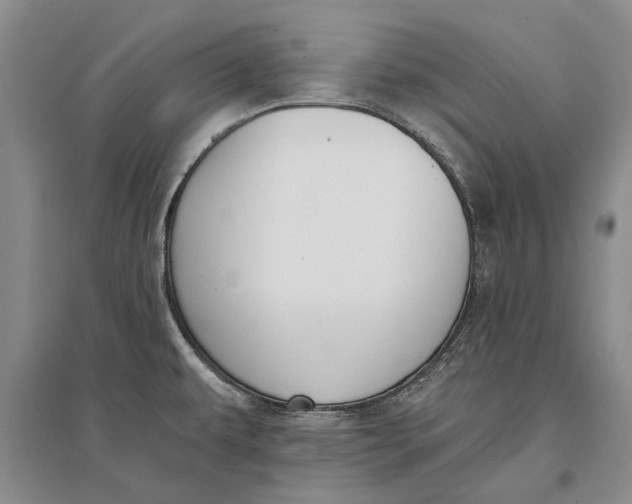 X0000096681479200802261504