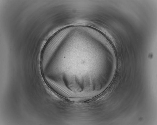 X0000096681480200802261504