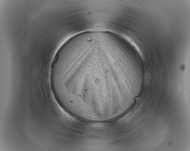 X0000096681484200802261504