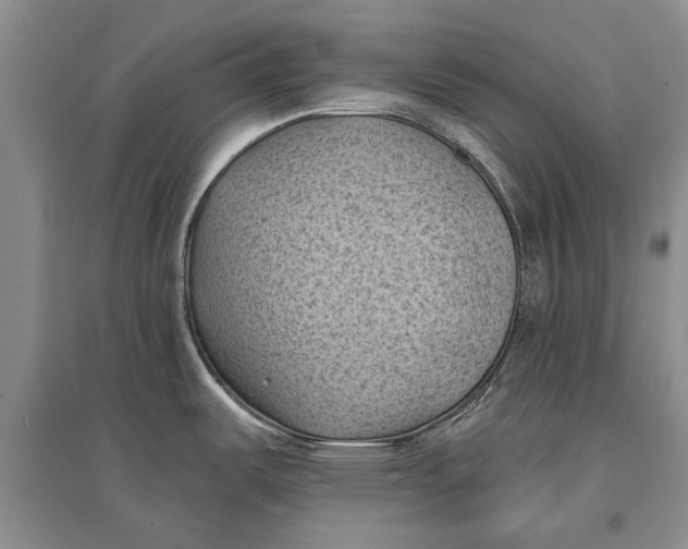X0000096681487200802261504