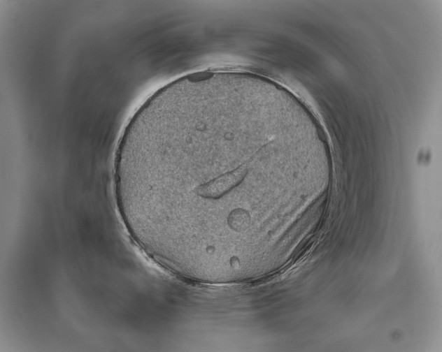 X0000096681488200802261504