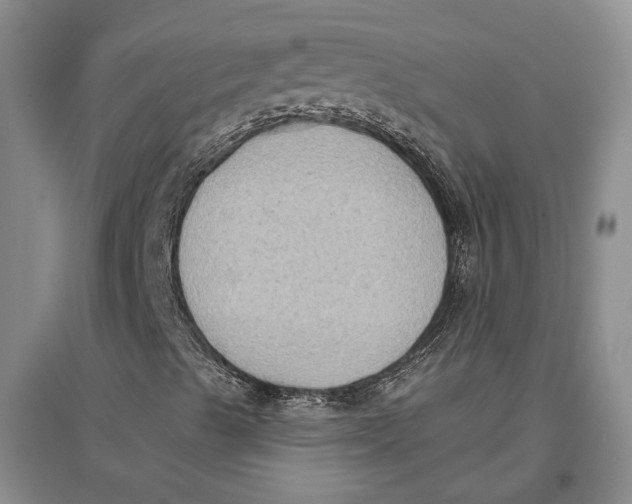 X0000096681489200802261503