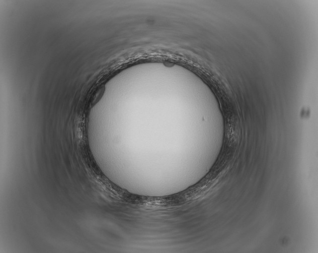 X0000096681490200802261503