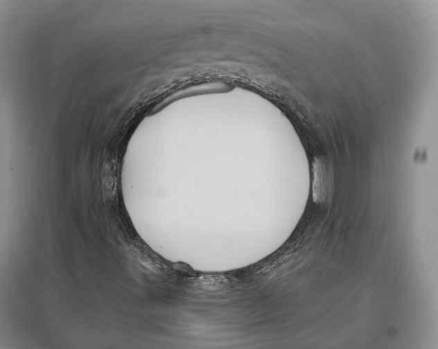 X0000096681491200802261503