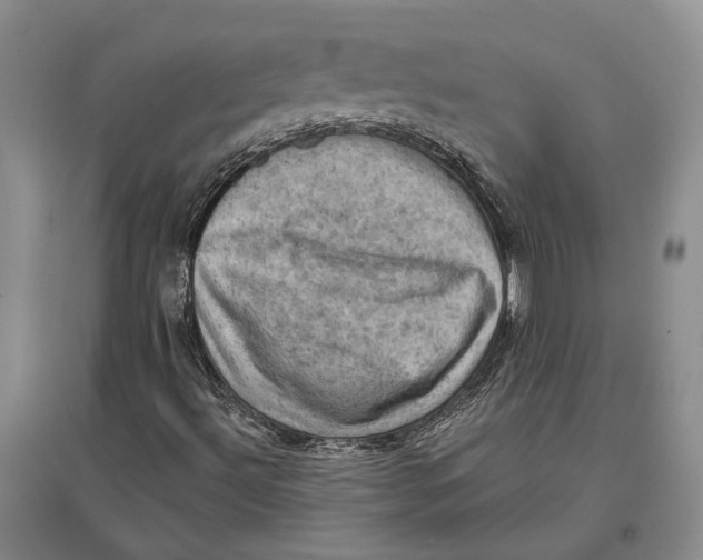 X0000096681492200802261503