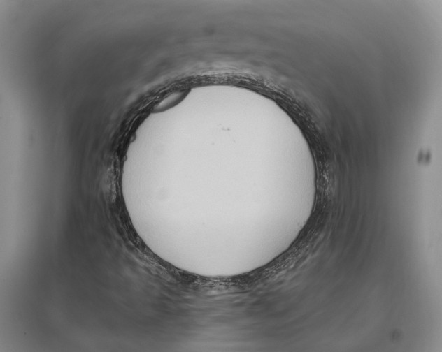 X0000096681493200802261503
