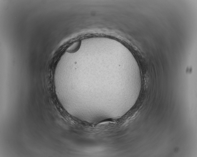 X0000096681494200802261503