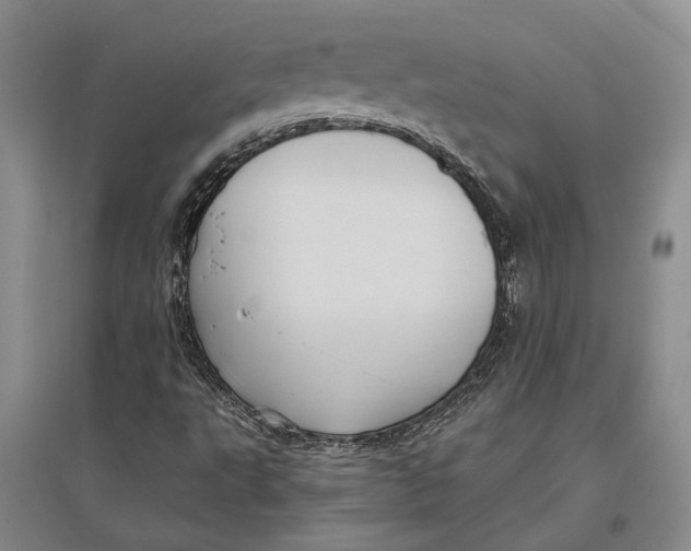 X0000096681495200802261503