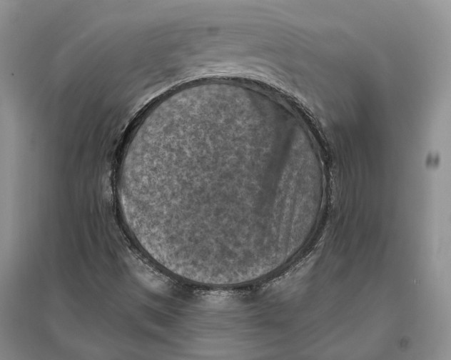 X0000096681497200802261503