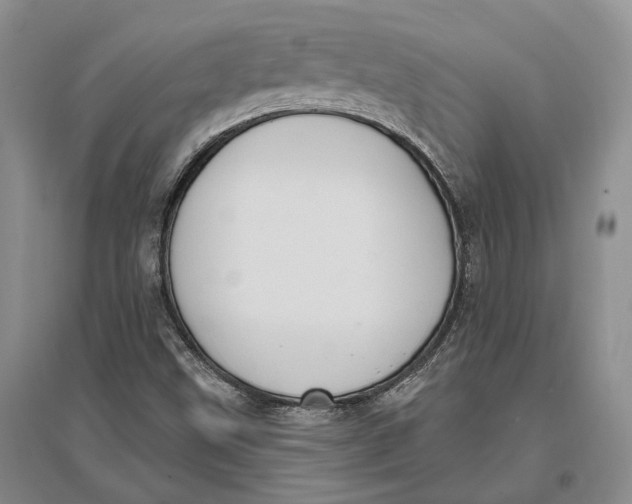 X0000096681499200802261503