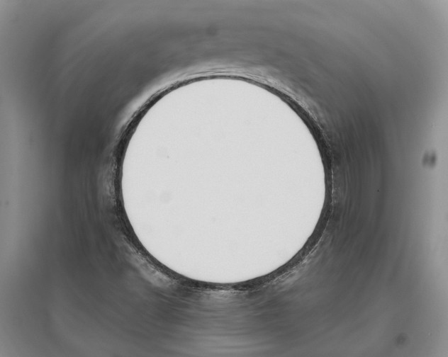 X0000096681502200802261503