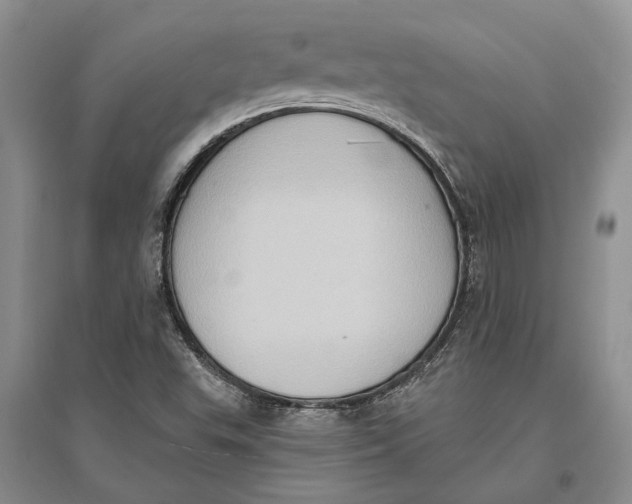 X0000096681503200802261503