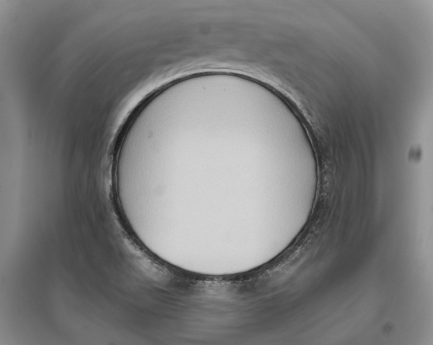 X0000096681511200802261504